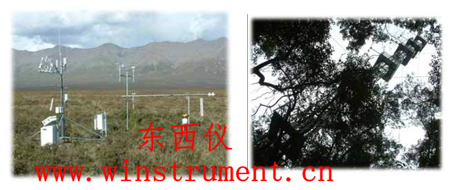 ɭ��С����վ