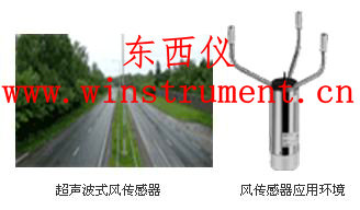 ������ʽ�紫����