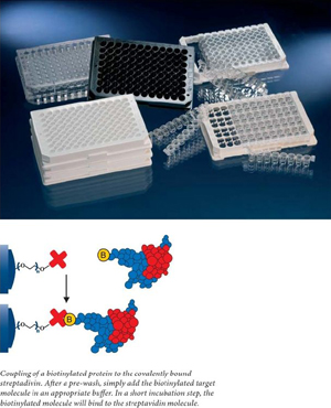 Nunc����436015-ImmobilizerTM��ù�׺���ø���Ͱ���