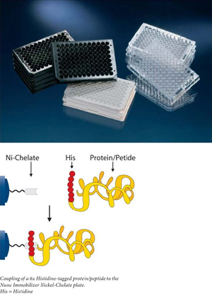 Nunc����436027-ImmobilizerTM������ø���