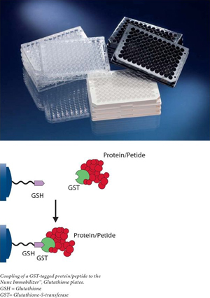 Nunc-ImmobilizerTM���׸���ø��� ����436033