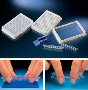 Nunc����ϵͳ��һ����96�븴���� ����473245