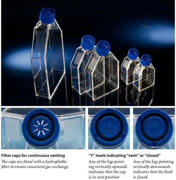 Nunc EasyFlasksTM Collagen1 Ԥ����175cm2����132708