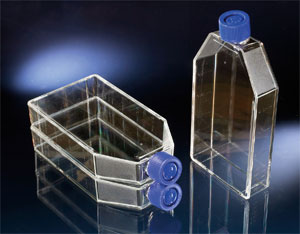 Nunc Solo����ƿNunclonTM�� �۱���ϩ ����144881