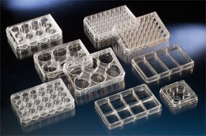 Nunc���ϸ�������� �۱���ϩ ����152035