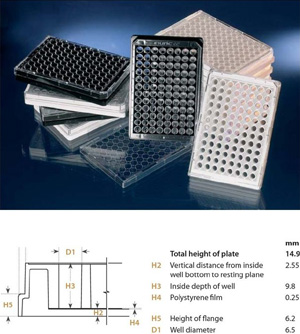 Nunc����152040 96�׵�͸΢�װ�