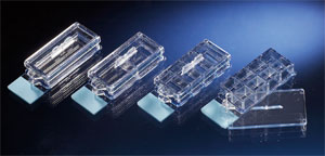 Nunc����154739LAB-TekTM��-CC2TM ǻ�Ҳ�Ƭ