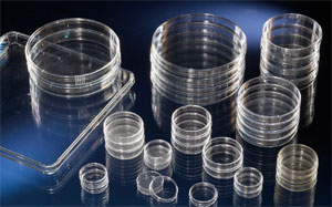 Nunc����157150������NunclonTM�� �۱���ϩ