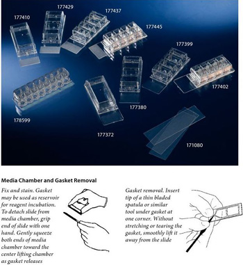 Nunc����177399LAB-TekTM ǻ�Ҳ�Ƭ ͨ��CE��֤