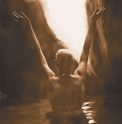 Nunc PropurTM Kits,ProteinA������ ����228102