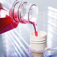 Nunc����4031ϸ�������� �۱���ϩ