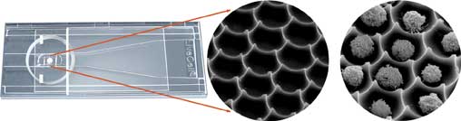 Nunc����;ʵ�������� ���� ����4714