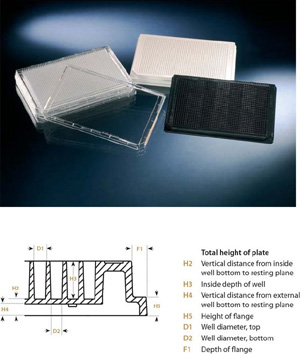 Nunc PCR���̺͹̶��� ����251357