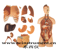 ����ͷ������ģ��