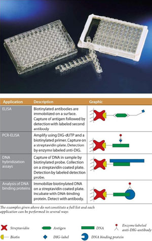 Nunc����430805���� Nunc-ImmunoTM����