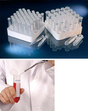 Nunc EZ FlipTM���Ĺ� ����362696