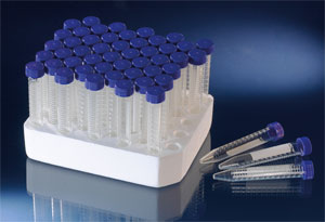 Nunc����366079 ���Ĺ� �����