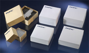 Nunc����378441 �����