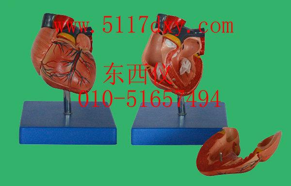 �����������ģ��