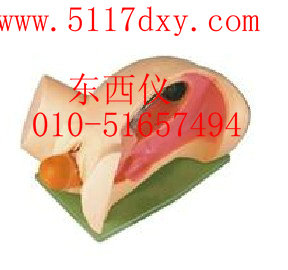 �����תʾ��ģ��