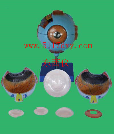 ����Ũ�ȼ�������/����� �ͺ�:ZXBG80 ��ţ�M390549