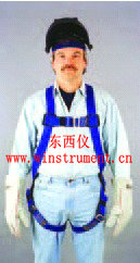 ���ӹ�ȫ��ʽ��ȫ��  wi72336