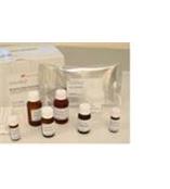 ������,Sigma-296090