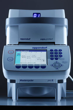 Mastercycler® pro s梯度PCR仪