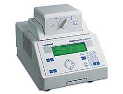 Mastercycler® pro 384 梯度PCR仪