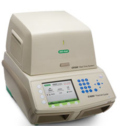 美国伯乐CFX96™实时定量PCR仪