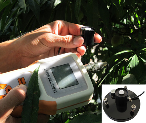 �����Ч�����¼��