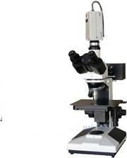 ��΢��/������΢��