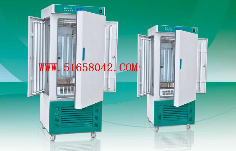 ����������/�������������