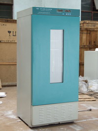 ����������/����������