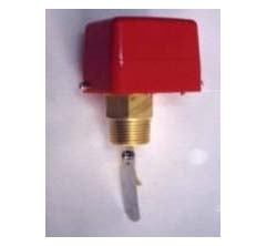 ��������/����