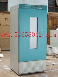 ����������/������