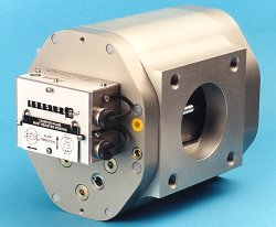 ��������������/������