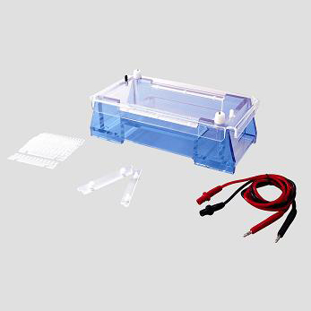 ��֬��ˮƽ��Ӿ��/��֬��ˮƽ��Ӿ��