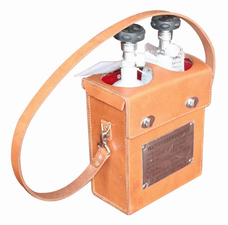 ��Яʽ�����Ǳ�У׼�ǣ�CH4��O2��CO��