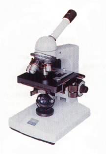 ������΢��