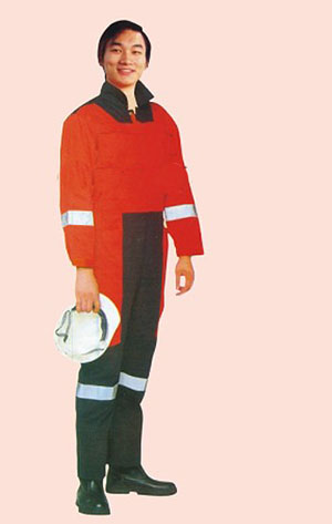 �����⺸��������