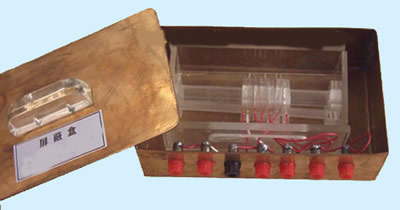 �����κ�