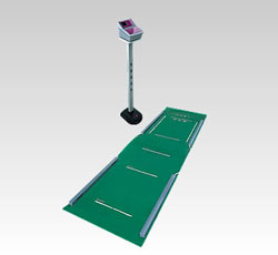 ������Զ������ 