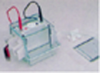 С��˫��ֱ���Ӿ��  