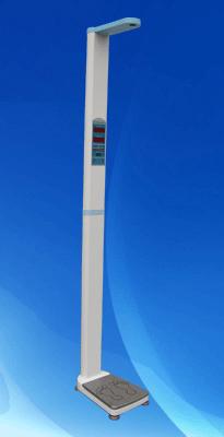 �������������ز�����