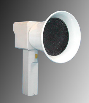 ɸѡ��������