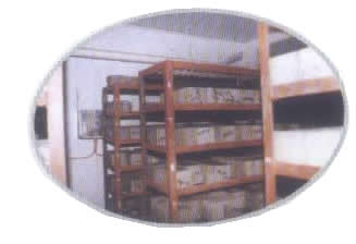 ���º�ʪ������