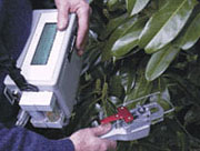 ��Яʽ�����