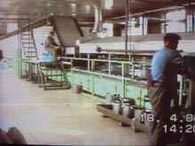 ˮ����˿������ 