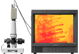 ��ɫѭ������� 